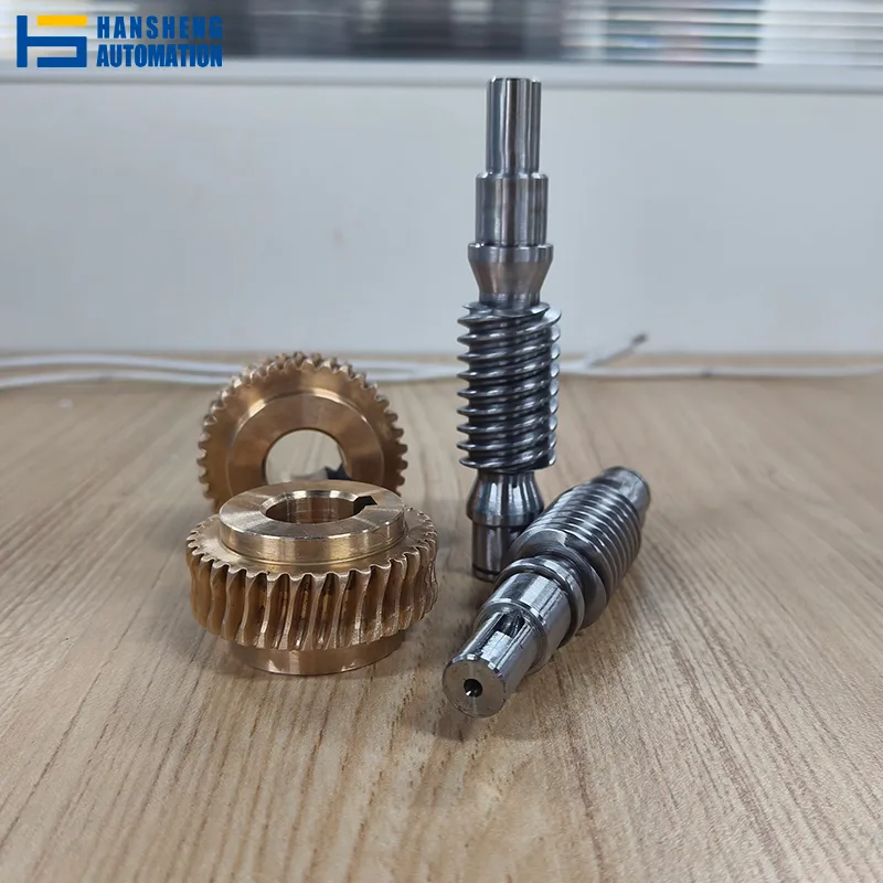 Custom GOST Grade 7 Precision Worm and Worm Gear Set for a Polish Industrial OEM