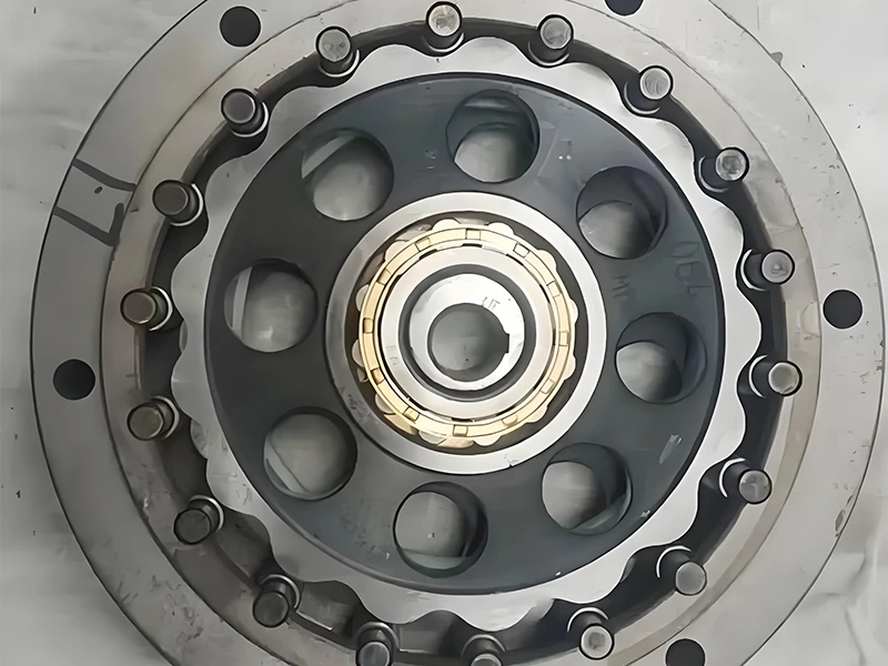 Cycloidal-Reducer