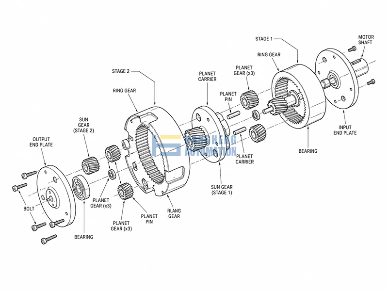 How Torque Flows Through a 2-Stage Planetary Gearbox: Sun Gear to Planet Carrier in Humanoid Robot Actuators